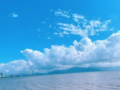 -深圳湾公园(南山区)
