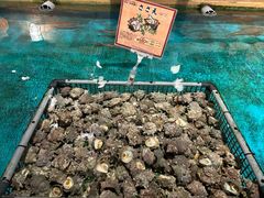 -ジャンボ釣船 つり吉(新世界店)