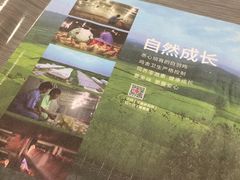 -麦当劳(温州人民路店)