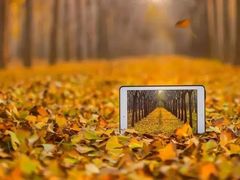 -艾山风景名胜区