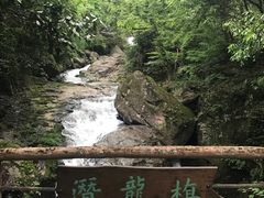 -溪口-滕头旅游景区