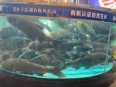 -莞香楼·正宗东莞菜(东升店)