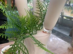 -探窝·竹笙椰子鸡(杨箕店)