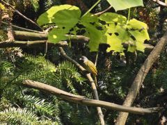 -宜兴龙背山森林公园
