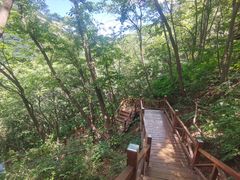 -大岭沟猕猴桃谷风景区