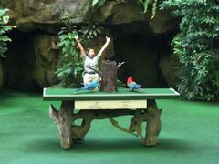-新加坡飞禽公园