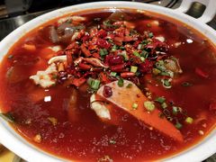 -庆合府重庆大排档(紫都城店)