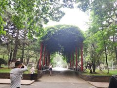 -陕西师范大学(雁塔校区)