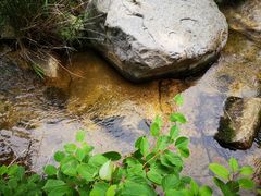 -碓臼峪自然风景区