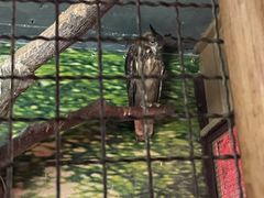 -上海大自然野生昆虫馆