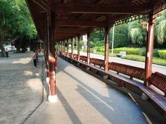 -光明港公园