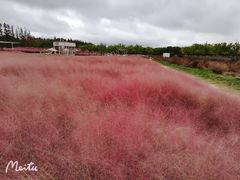-嘉北郊野公园