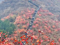 -狼牙山风景区