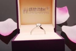 DSC_7807-威德钻石-克拉钻大本营(南京东路店)