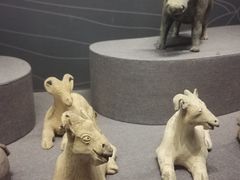 -广西壮族自治区博物馆