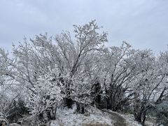 -长沙黑麋峰国家森林公园
