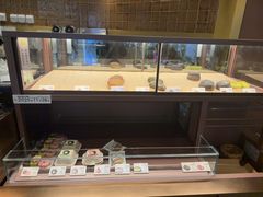-奈雪的茶(石家庄万象城店)