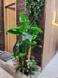 -芳朵美容养生SPA