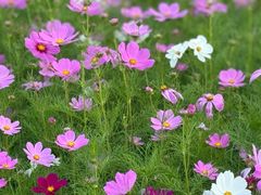 -钟山体育运动公园