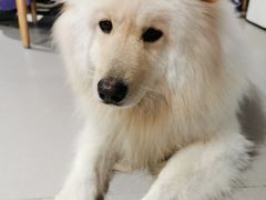 -肆兮眼镜·蔡司·徕卡战略合作店(大坪店)