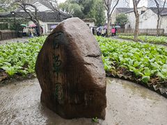 -绍兴鲁迅故里·沈园景区
