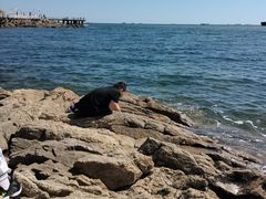 -北戴河碧螺塔海上酒吧公园