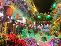 -丽江三义国际机场