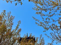 -杭州半山国家森林公园