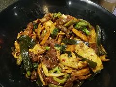 -食乐佳麻辣香锅(森林摩尔商业街区店)