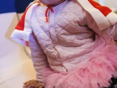 -红黄蓝早教(西海岸旗舰中心)