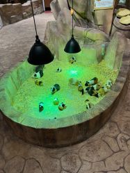 -宝燕乐园(闵行旗舰店)