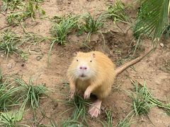 -北京野生动物园