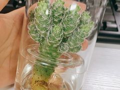 -KKV(深圳宏发大仟里店)