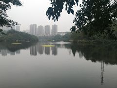 -重庆彩云湖湿地公园