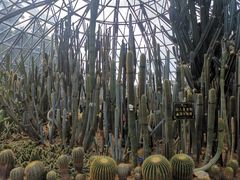 -深圳仙湖植物园