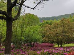 -观音山圆通寺