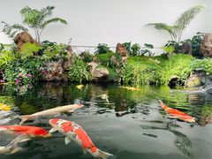 -罗红摄影艺术馆