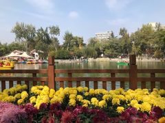 -莲湖公园