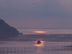 -北岐滩涂