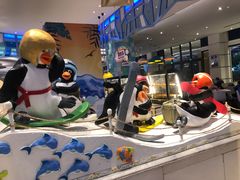 -帝企鹅自助餐厅•儿童岛•真企鹅(长隆企鹅酒店)