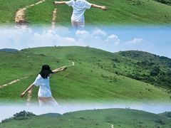 -大姆山草场