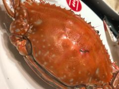 -开海·红岛海鲜虾水饺(石老人店)