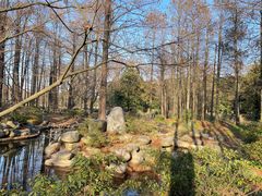 -上海共青森林公园