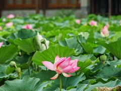 -承德避暑山庄景区