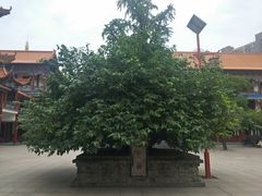 -章华寺