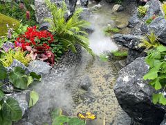 -深圳仙湖植物园