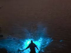 -小黑石海滨浴场·停车场