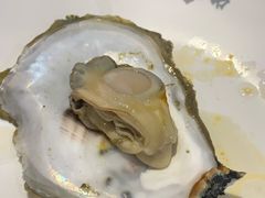 -烧蠔帮·湛江生蚝(工农店)
