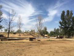 -恩格贝生态旅游区