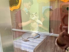 -瑞鹏宠物医院·宠保定点·心脏科·内科(御桥分院)